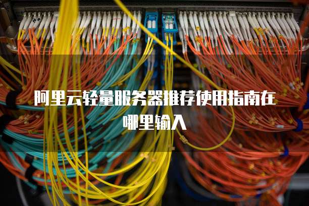 阿里云轻量服务器推荐使用指南在哪里输入