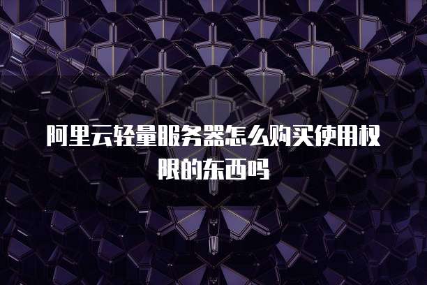 阿里云轻量服务器怎么购买使用权限的东西吗