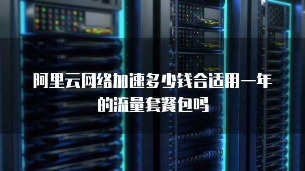 阿里云网络加速多少钱合适用一年的流量套餐包吗
