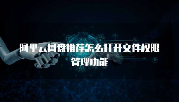 阿里云网盘推荐怎么打开文件权限管理功能