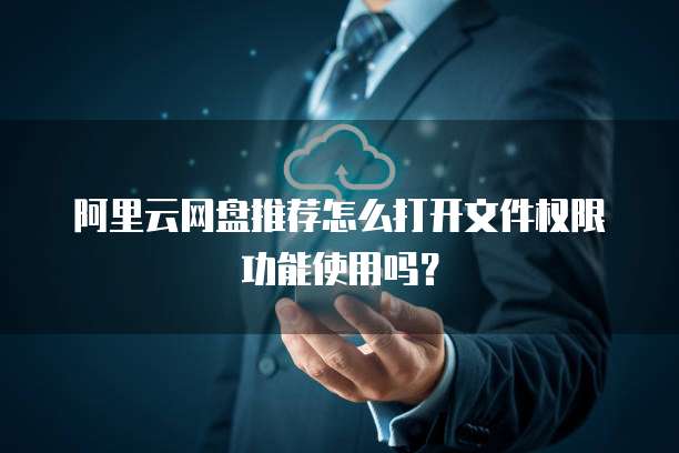 阿里云网盘推荐怎么打开文件权限功能使用吗?
