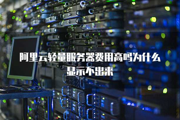 阿里云轻量服务器费用高吗为什么显示不出来
