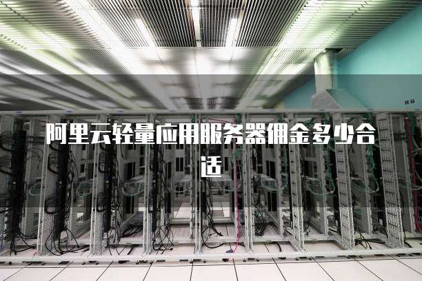 阿里云轻量应用服务器佣金多少合适