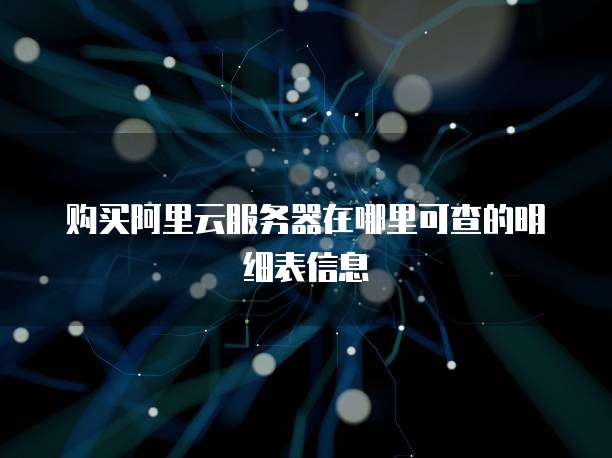 购买阿里云服务器在哪里可查的明细表信息