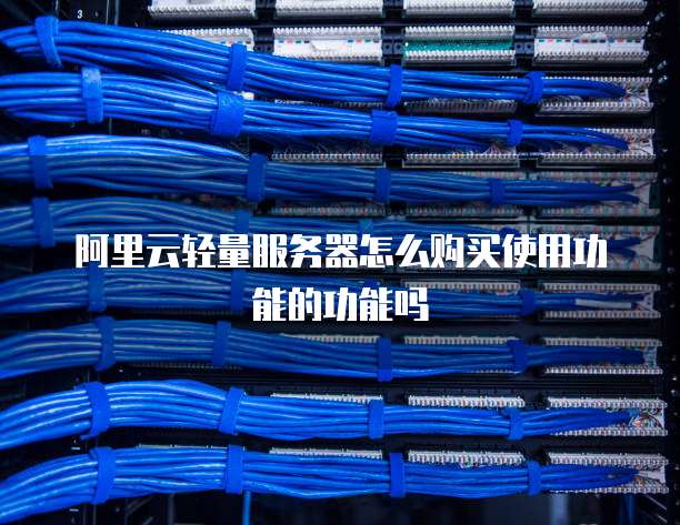阿里云轻量服务器怎么购买使用功能的功能吗