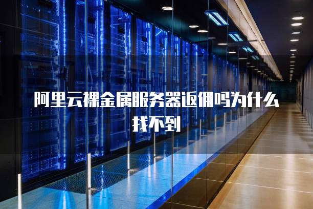 阿里云裸金属服务器返佣吗为什么找不到