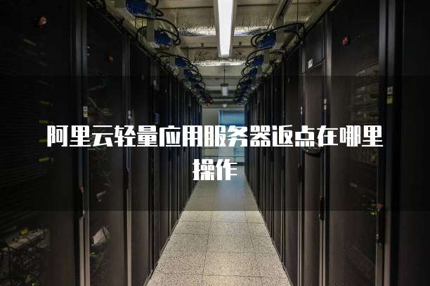 阿里云轻量应用服务器返点在哪里操作