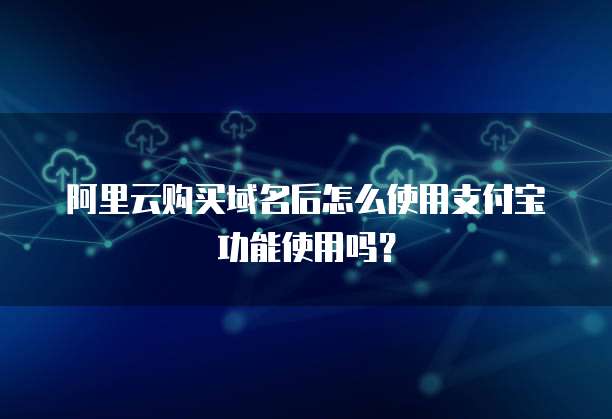 阿里云购买域名后怎么使用支付宝功能使用吗?