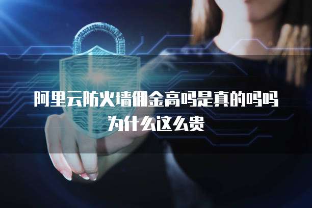 阿里云防火墙佣金高吗是真的吗吗为什么这么贵