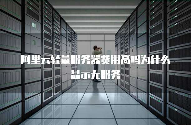 阿里云轻量服务器费用高吗为什么显示无服务