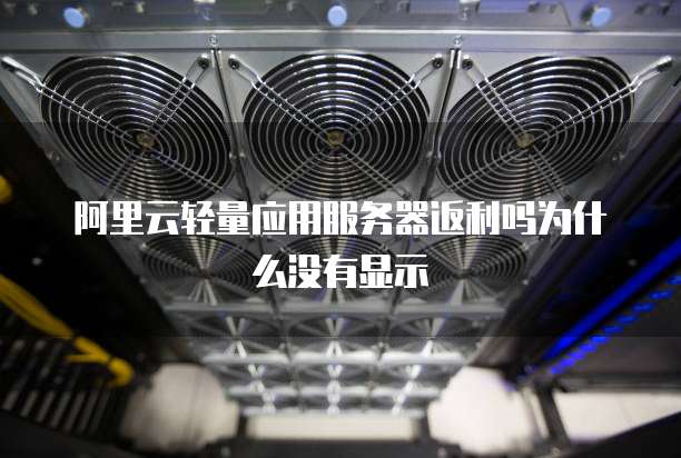阿里云轻量应用服务器返利吗为什么没有显示