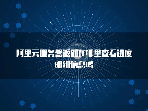 阿里云服务器返佣在哪里查看进度明细信息吗