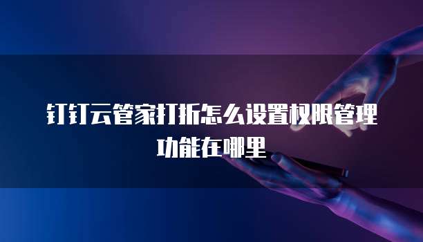 钉钉云管家打折怎么设置权限管理功能在哪里