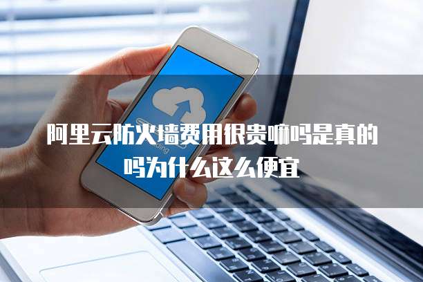 阿里云防火墙费用很贵嘛吗是真的吗为什么这么便宜