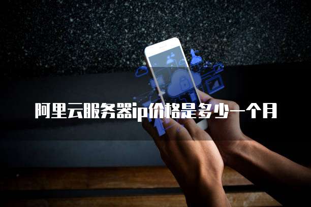 阿里云服务器ip价格是多少一个月