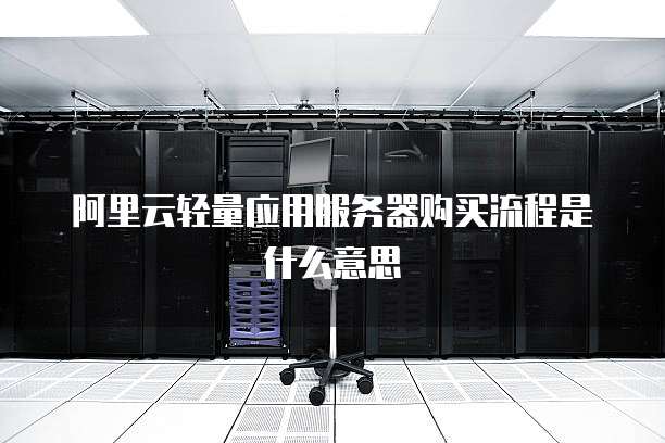 阿里云轻量应用服务器购买流程是什么意思