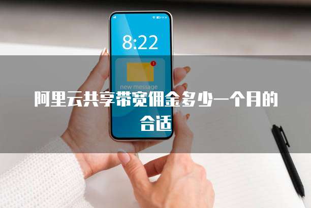 阿里云共享带宽佣金多少一个月的合适