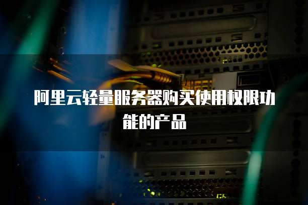 阿里云轻量服务器购买使用权限功能的产品