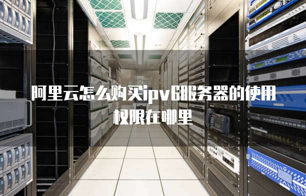阿里云怎么购买ipv6服务器的使用权限在哪里