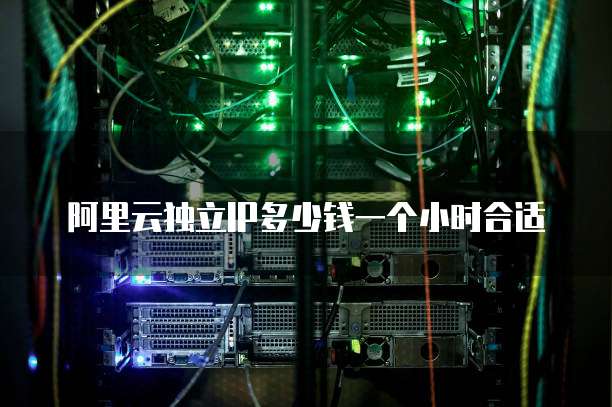 阿里云独立IP多少钱一个小时合适