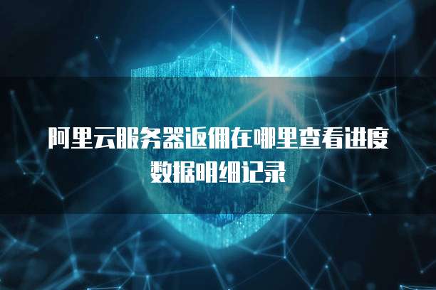 阿里云服务器返佣在哪里查看进度数据明细记录