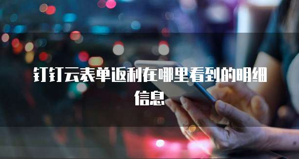 钉钉云表单返利在哪里看到的明细信息