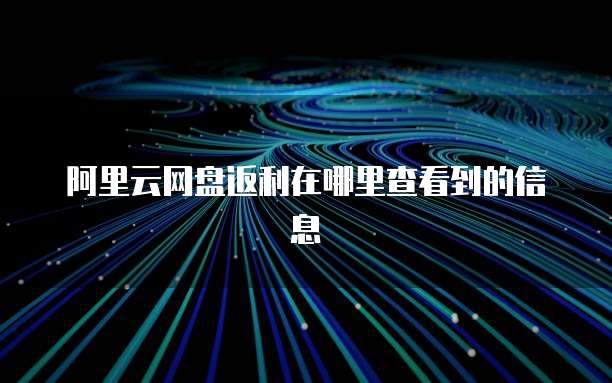 阿里云网盘返利在哪里查看到的信息