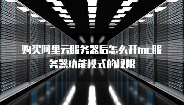 购买阿里云服务器后怎么开mc服务器功能模式的权限