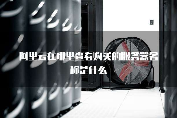 阿里云在哪里查看购买的服务器名称是什么