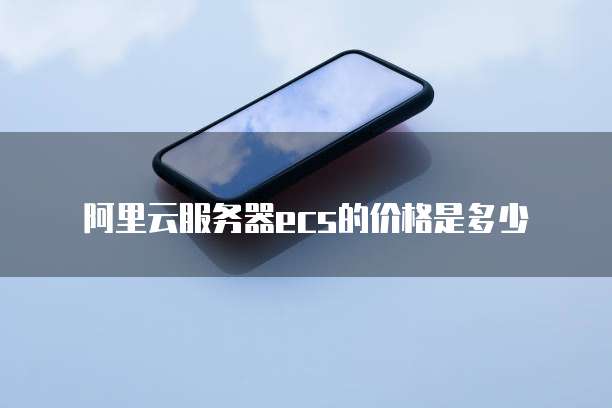 阿里云服务器ecs的价格是多少