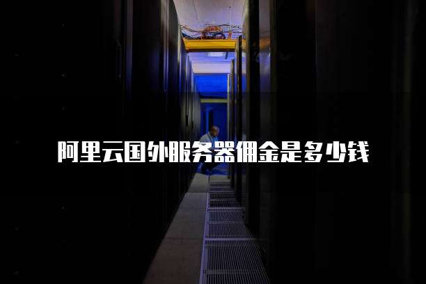 阿里云国外服务器佣金是多少钱