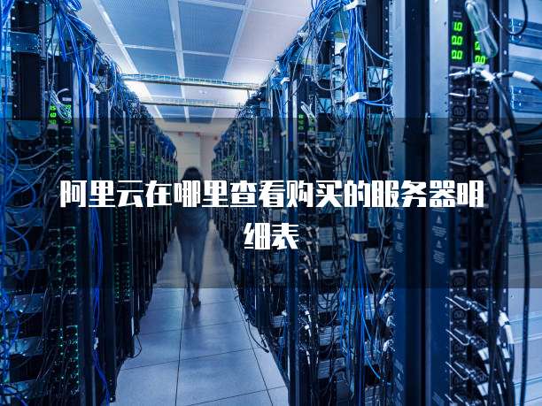阿里云在哪里查看购买的服务器明细表