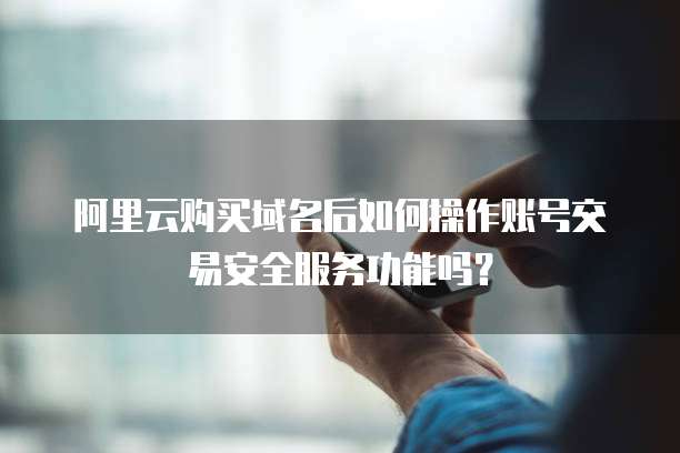 阿里云购买域名后如何操作账号交易安全服务功能吗?