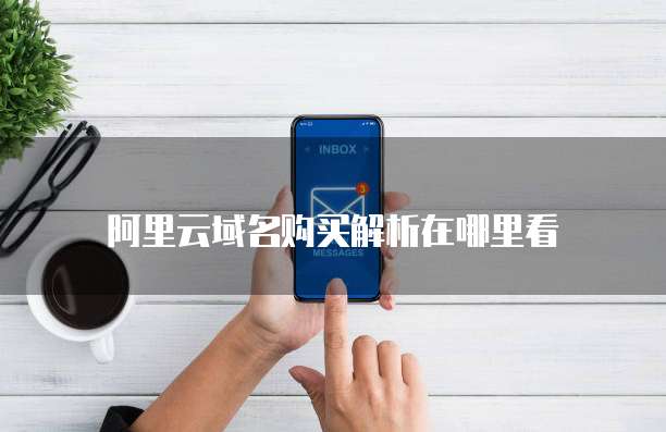 阿里云域名购买解析在哪里看