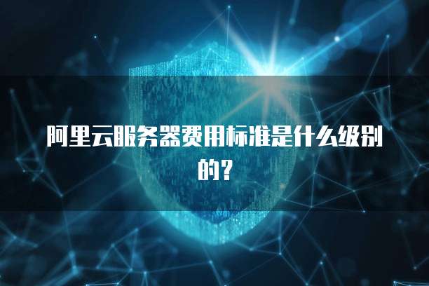 阿里云服务器费用标准是什么级别的?