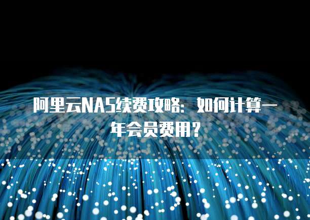 阿里云NAS续费攻略:如何计算一年会员费用?