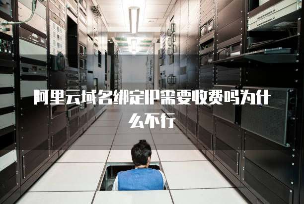 阿里云域名绑定IP需要收费吗为什么不行