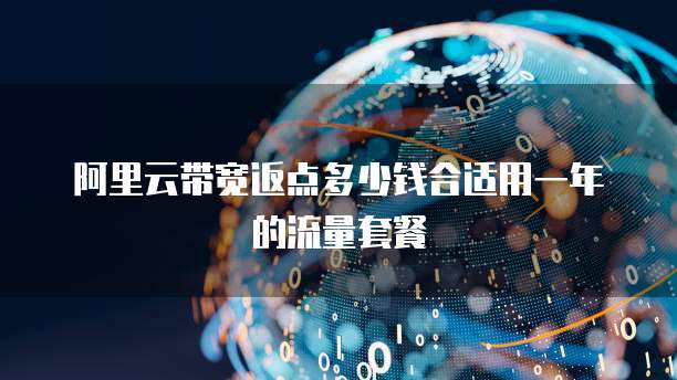 阿里云带宽返点多少钱合适用一年的流量套餐