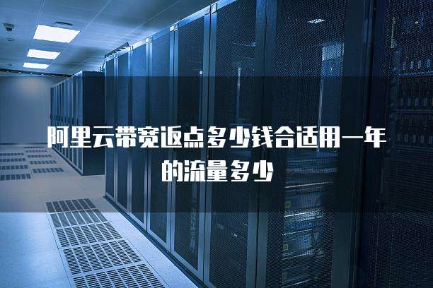 阿里云带宽返点多少钱合适用一年的流量多少