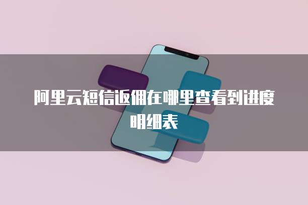 阿里云短信返佣在哪里查看到进度明细表
