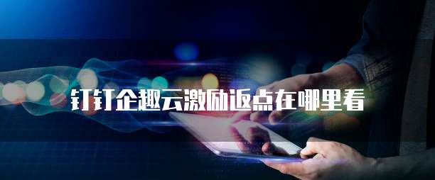 钉钉企趣云激励返点在哪里看