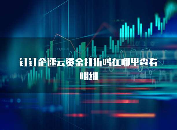 钉钉企速云资金打折吗在哪里查看明细
