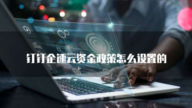 钉钉企速云资金政策怎么设置的