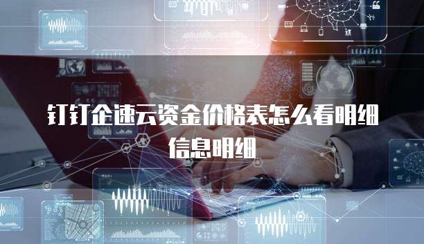 钉钉企速云资金价格表怎么看明细信息明细