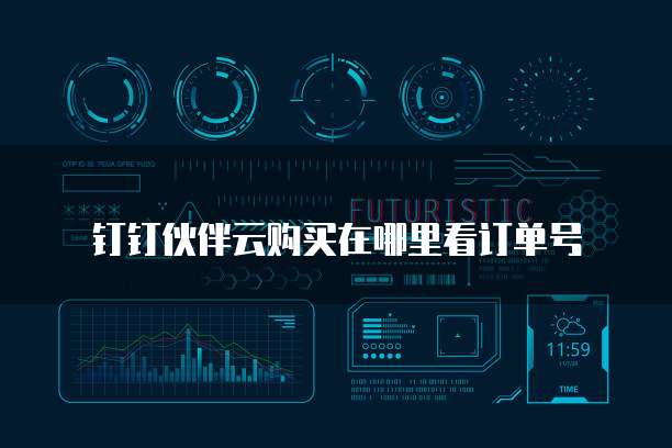 钉钉伙伴云购买在哪里看订单号