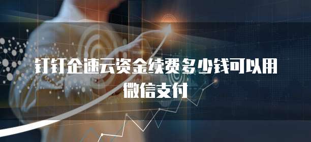 钉钉企速云资金续费多少钱可以用微信支付