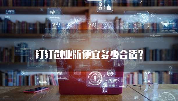 钉钉创业版便宜多少合适?
