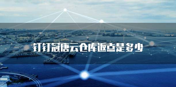 钉钉冠唐云仓库返点是多少