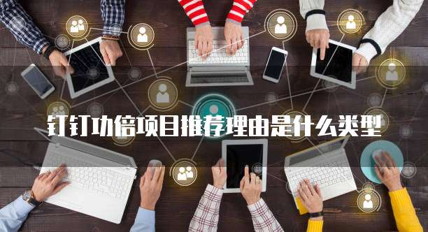 钉钉功倍项目推荐理由是什么类型