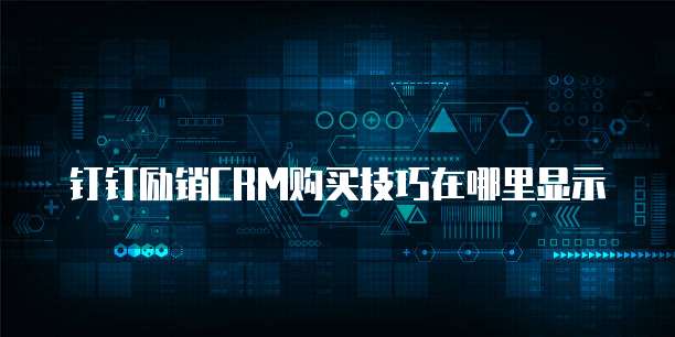 钉钉励销CRM购买技巧在哪里显示